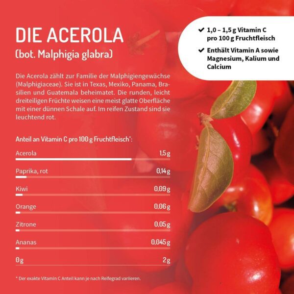 VORTEILSPACK MIT 3 DOSEN - NATÜRLICHES VITAMIN C AUS ACEROLA + OPC AUS TRAUBENKERNEXTRAKT - VEGAN - Image 2