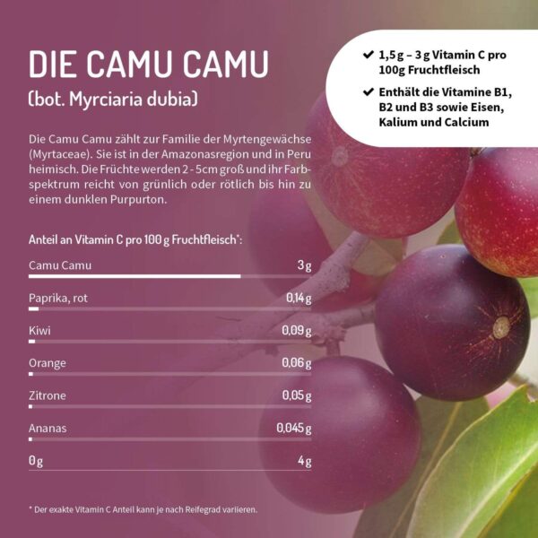 BASENCITRAT MIT NATÜRLICHEN VITAMINEN, MAGNESIUM UND CALCIUM - GESCHMACK: DRACHENFRUCHT - Image 3